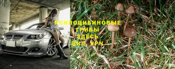 ECSTASY Алексин