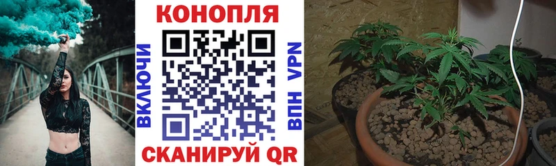 Каннабис SATIVA & INDICA  Ленинск-Кузнецкий 